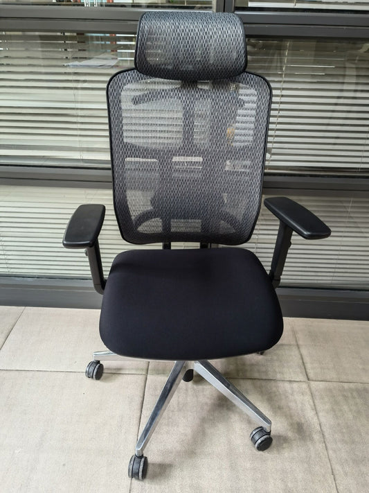 LANDOMIA  Ergonomic Office Chair