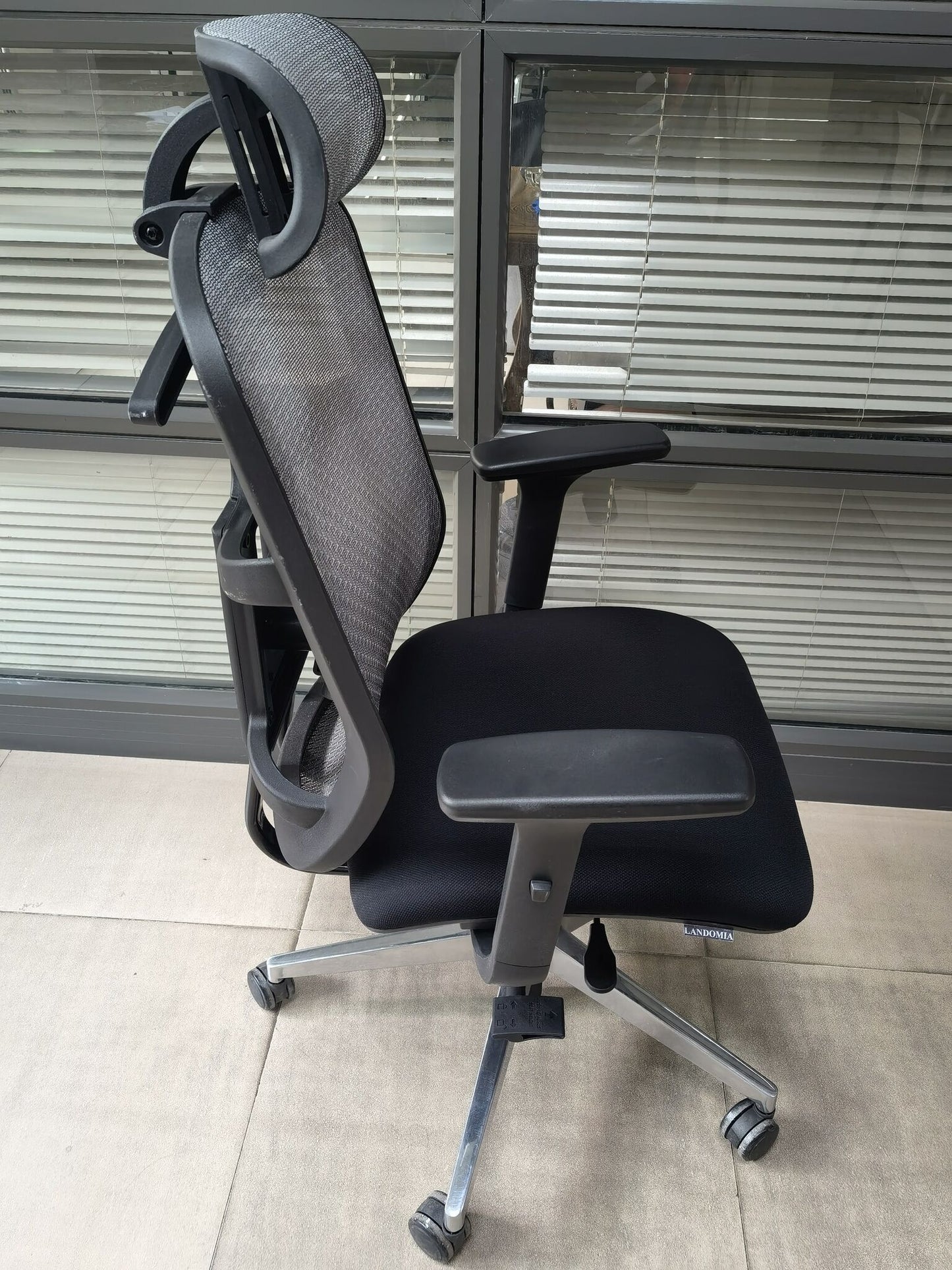 LANDOMIA  Ergonomic Office Chair